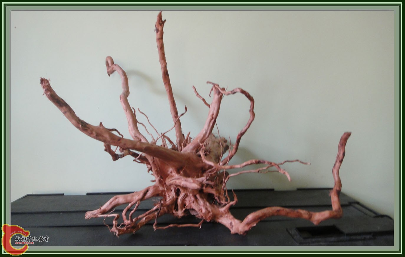 第六次DSC01611.JPG 第六次DSC01611.JPG