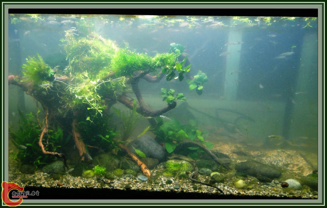 第六次DSC01613.JPG 第六次DSC01613.JPG