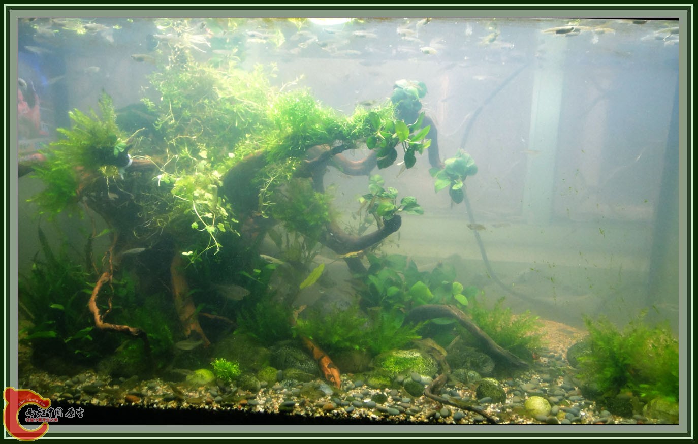 第六次DSC01615.JPG 第六次DSC01615.JPG