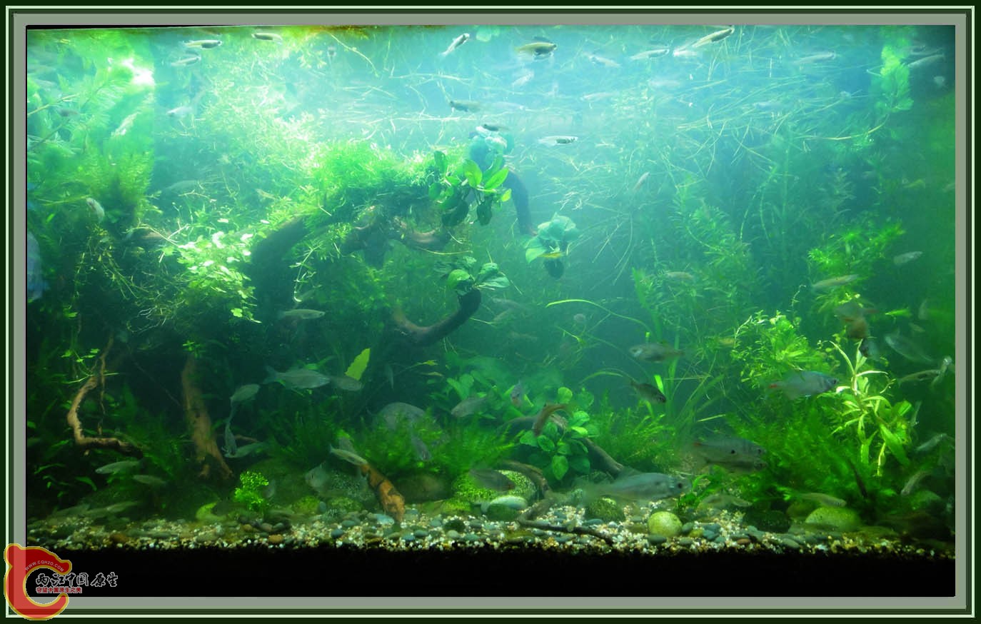 第六次DSC01617.JPG 第六次DSC01617.JPG