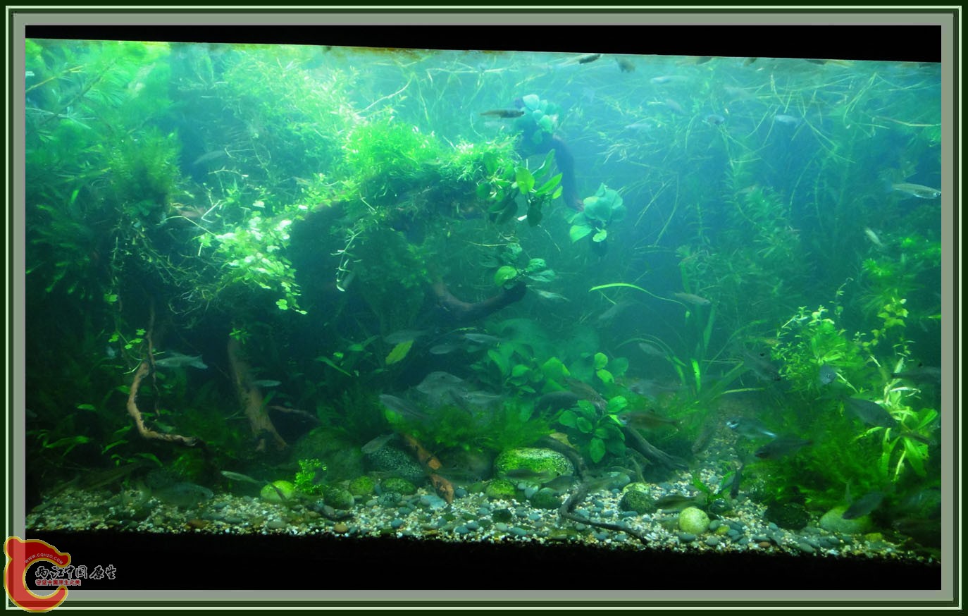 第六次DSC01619.JPG 第六次DSC01619.JPG