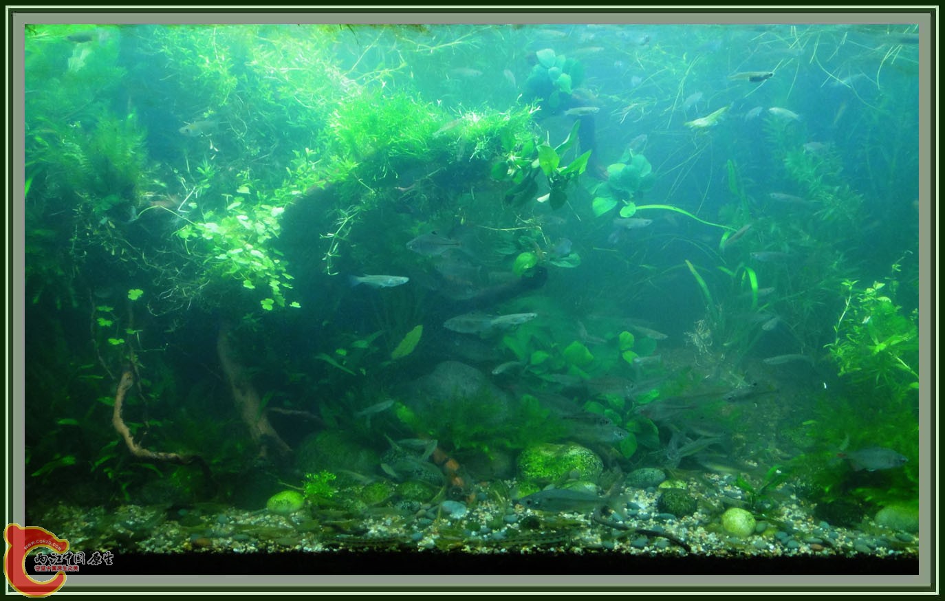 第六次DSC01620..JPG 第六次DSC01620..JPG