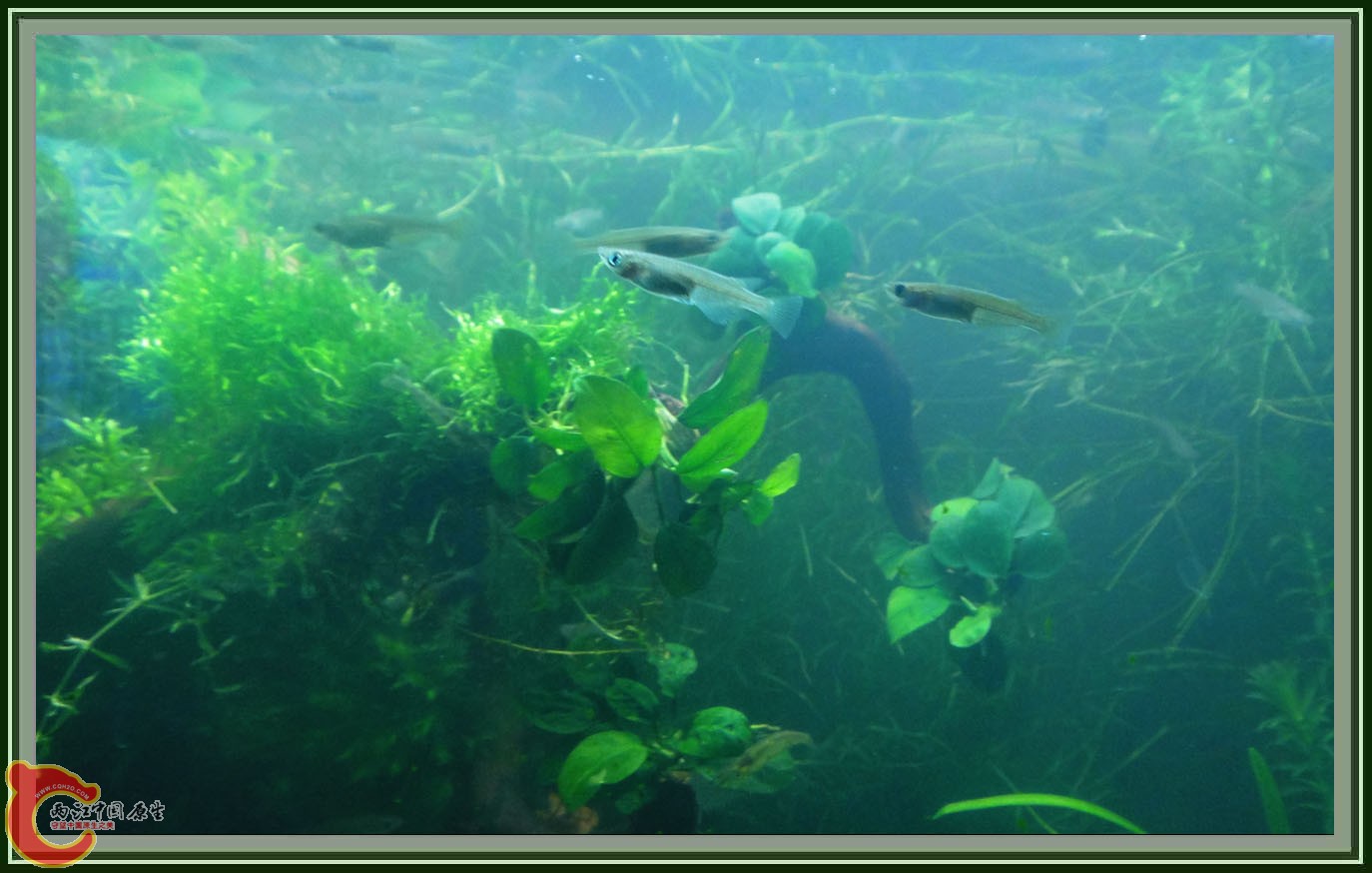 第六次DSC01621.JPG 第六次DSC01621.JPG