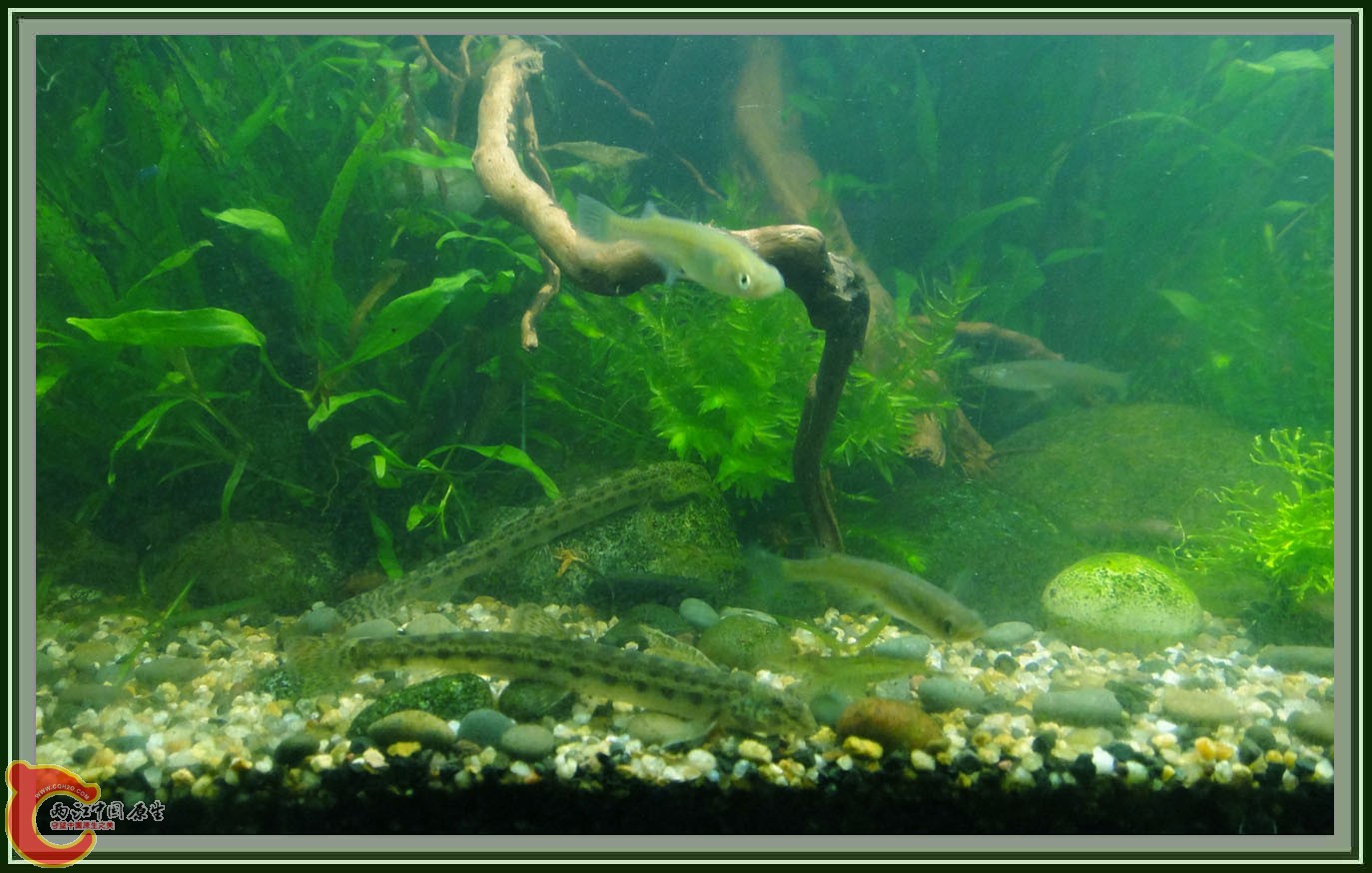 第六次DSC01622.JPG 第六次DSC01622.JPG