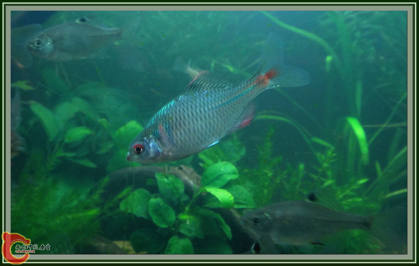 第六次DSC01624.JPG 第六次DSC01624.JPG