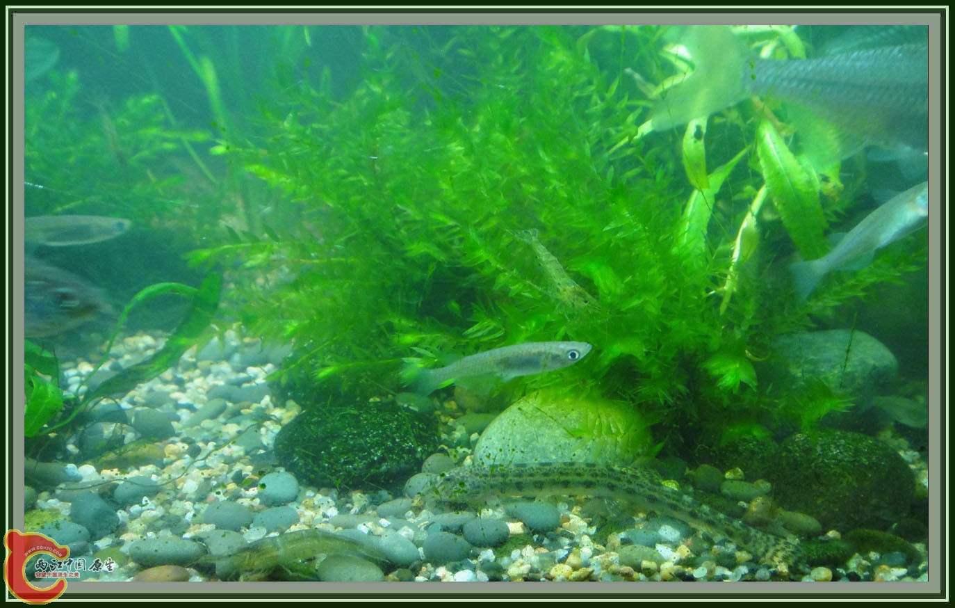 第六次DSC01625.JPG 第六次DSC01625.JPG