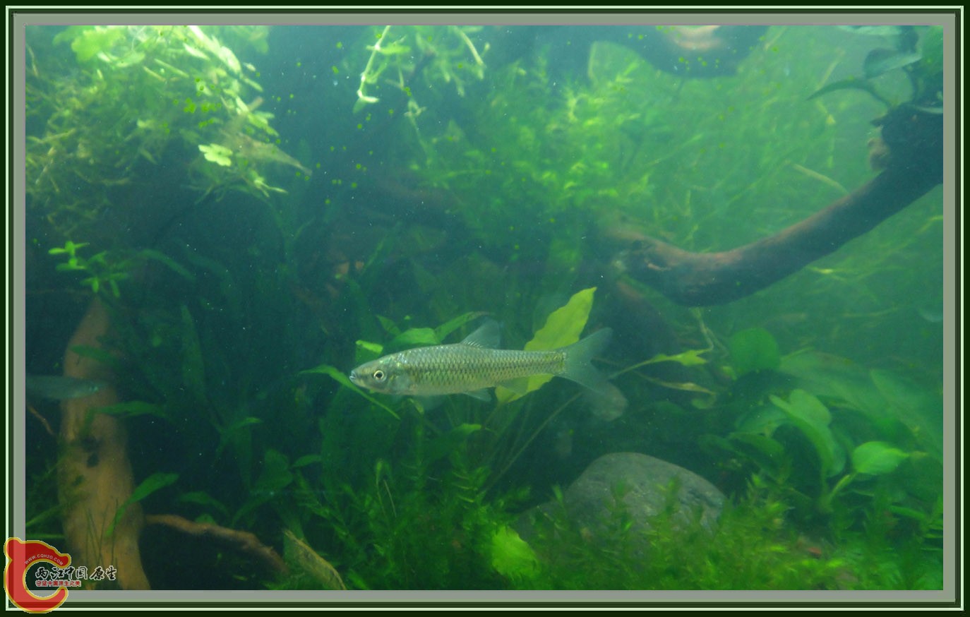 第六次DSC01629.JPG 第六次DSC01629.JPG