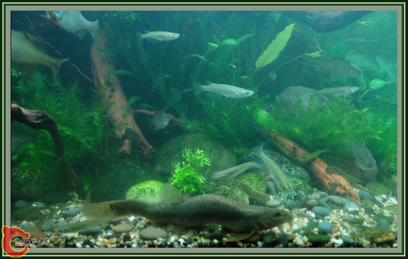 第六次DSC01632.JPG 第六次DSC01632.JPG