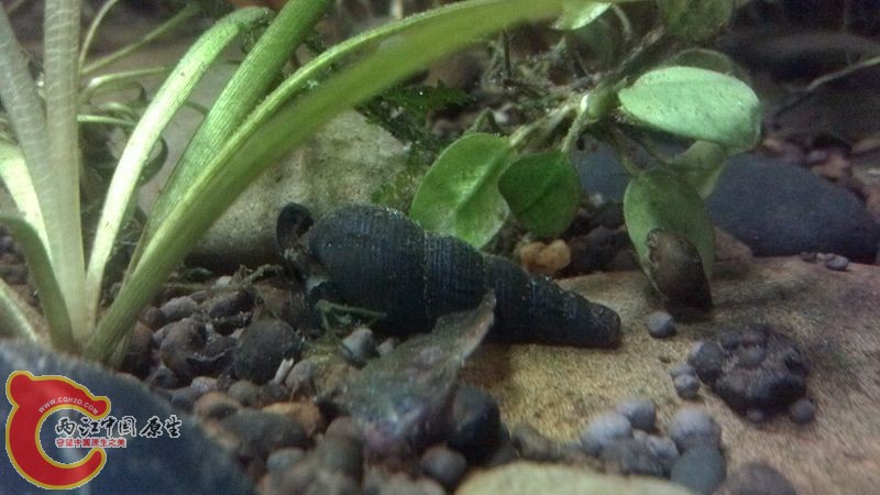 IMG_20121205_175218_副本.jpg