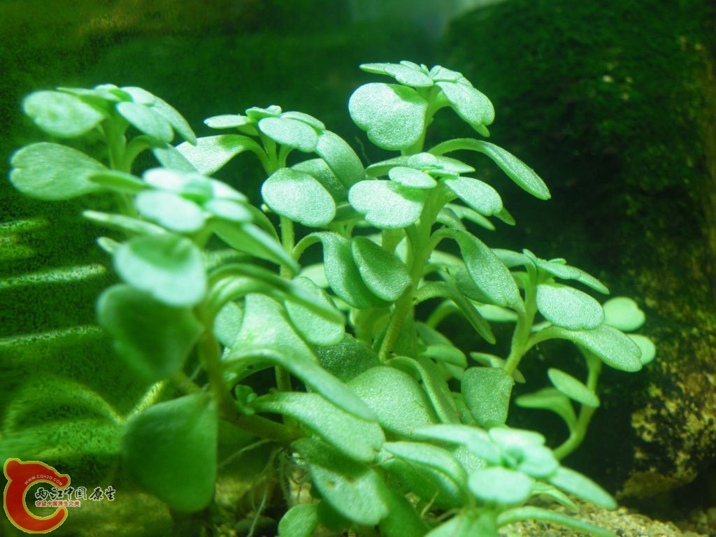 DSCF8762.JPG