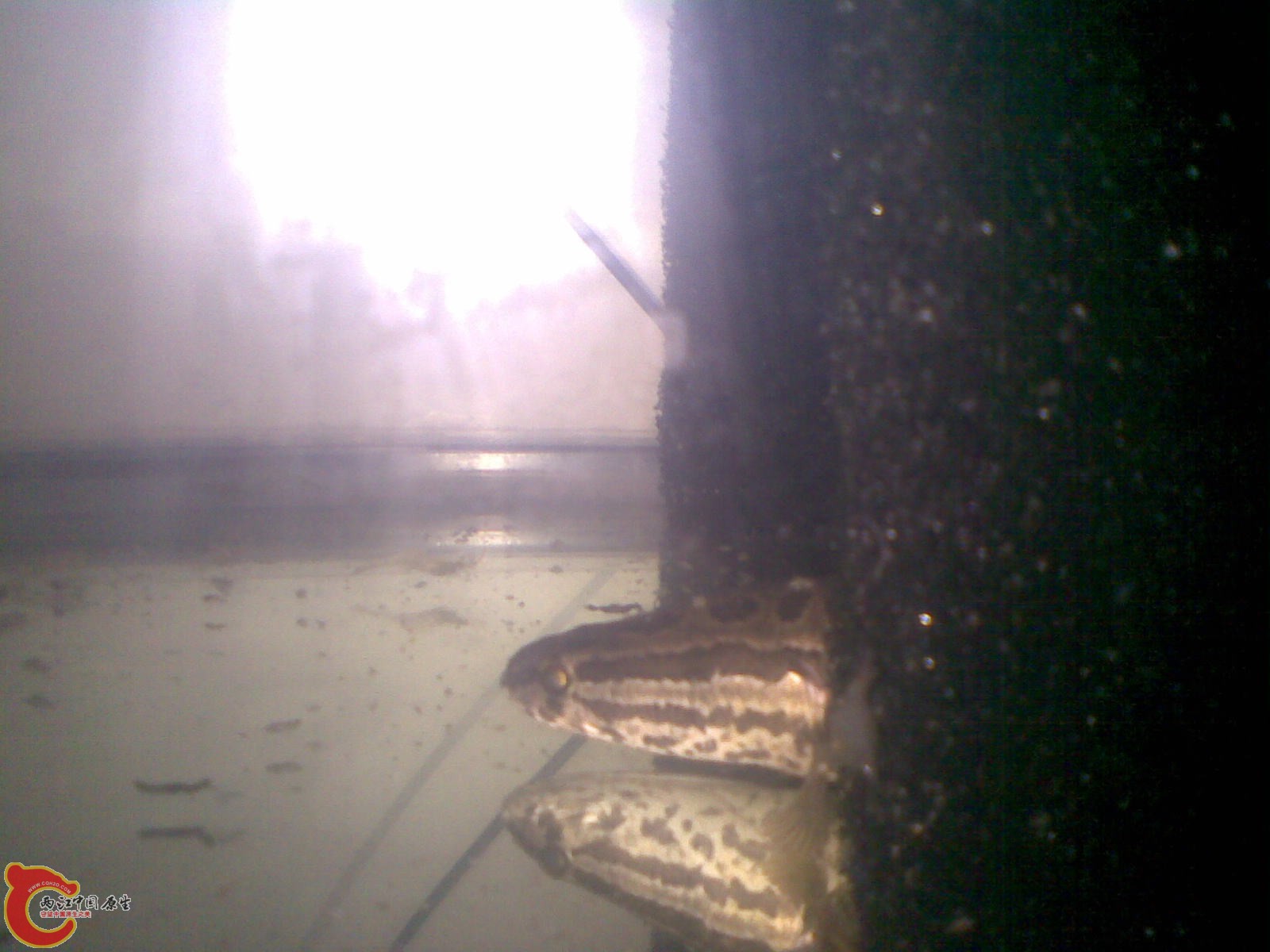 20121207(001_5).jpg