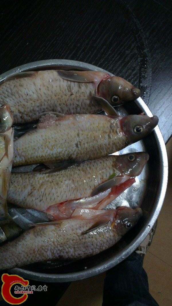 河鲜