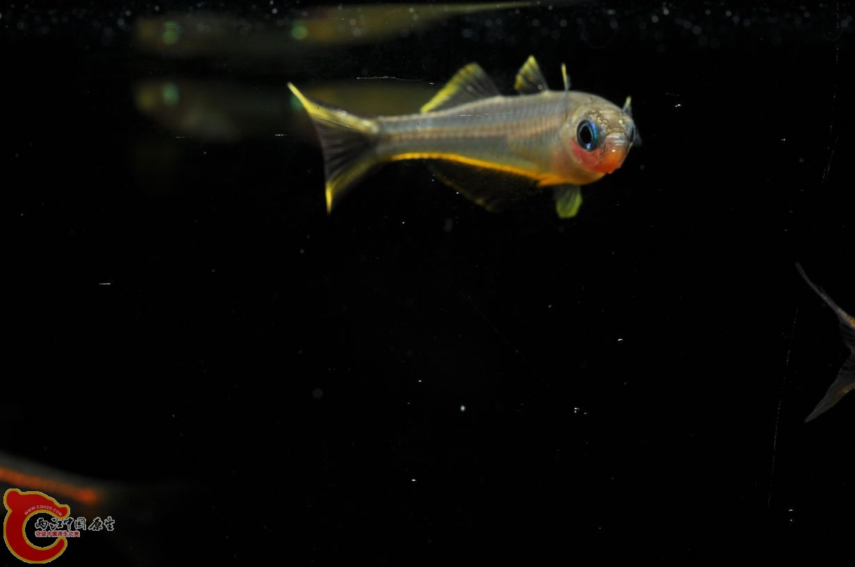 DSC_0053.jpg