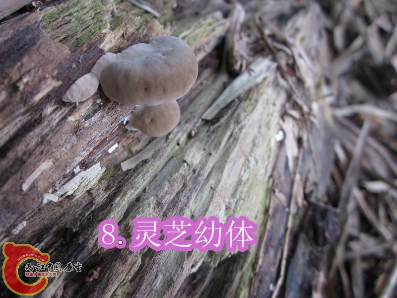 IMG_2838_副本.jpg