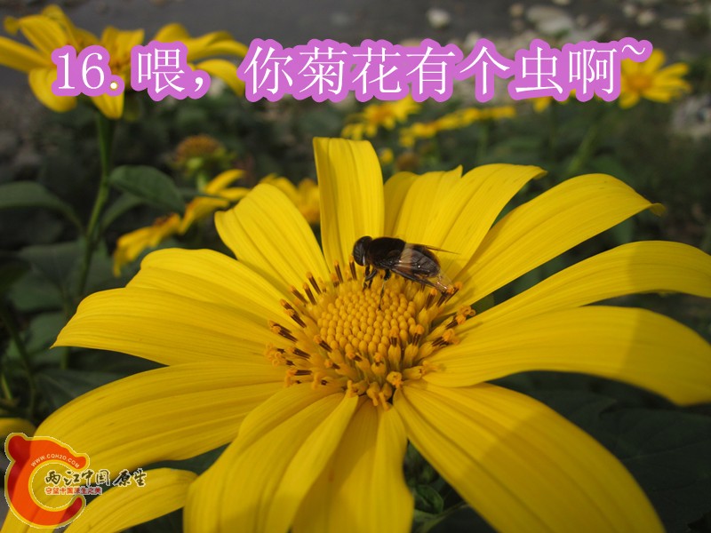 IMG_2865_副本.jpg