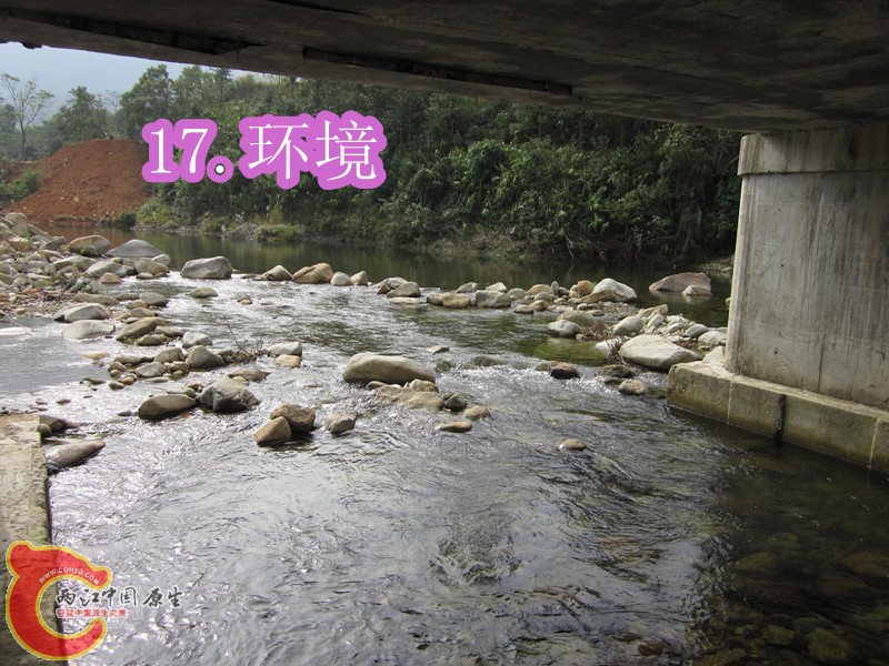 IMG_2870_副本.jpg