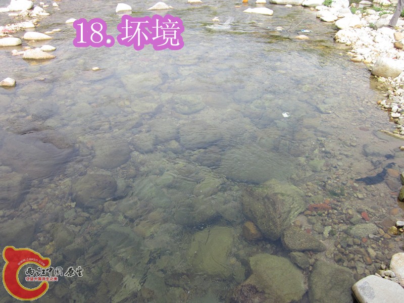 IMG_2871_副本.jpg