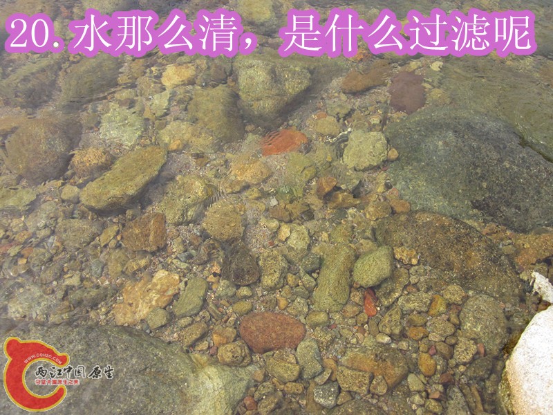 IMG_2873_副本.jpg