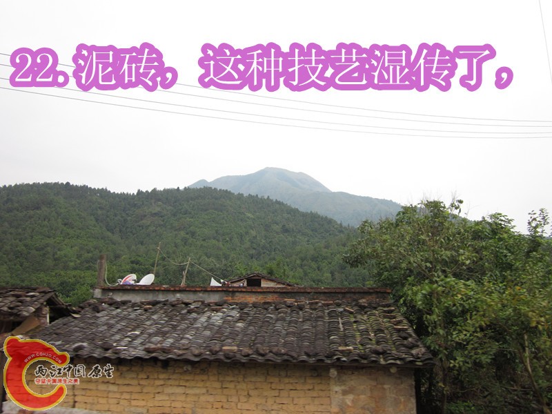 IMG_2881_副本.jpg