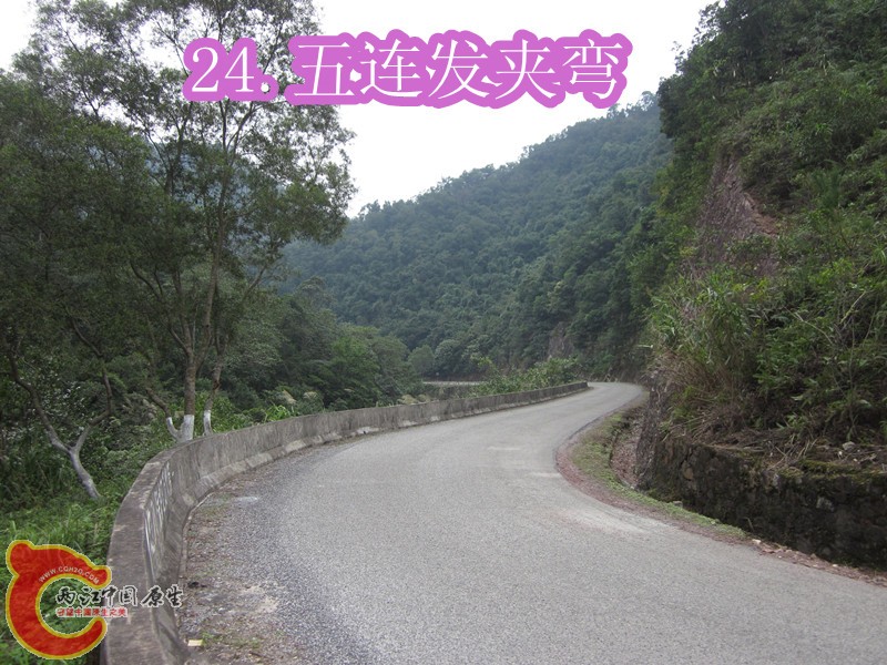 IMG_2884_副本.jpg