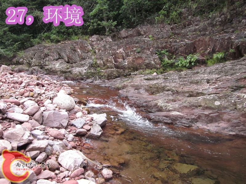 IMG_2895_副本.jpg