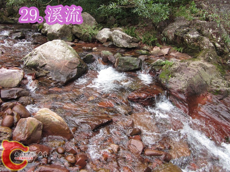 IMG_2898_副本.jpg