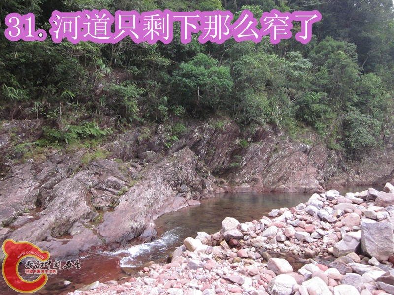 IMG_2900_副本.jpg