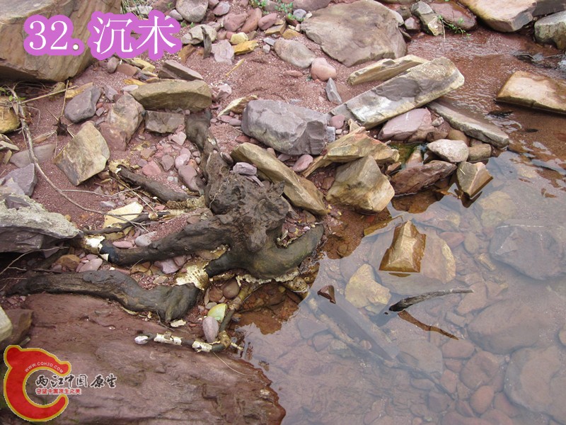 IMG_2913_副本.jpg