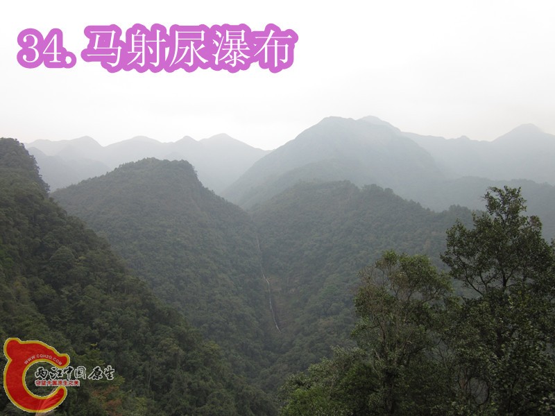 IMG_2933_副本.jpg