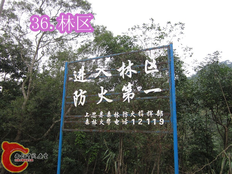 IMG_2942_副本.jpg