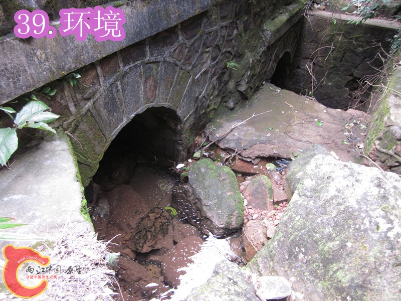 IMG_2955_副本.jpg