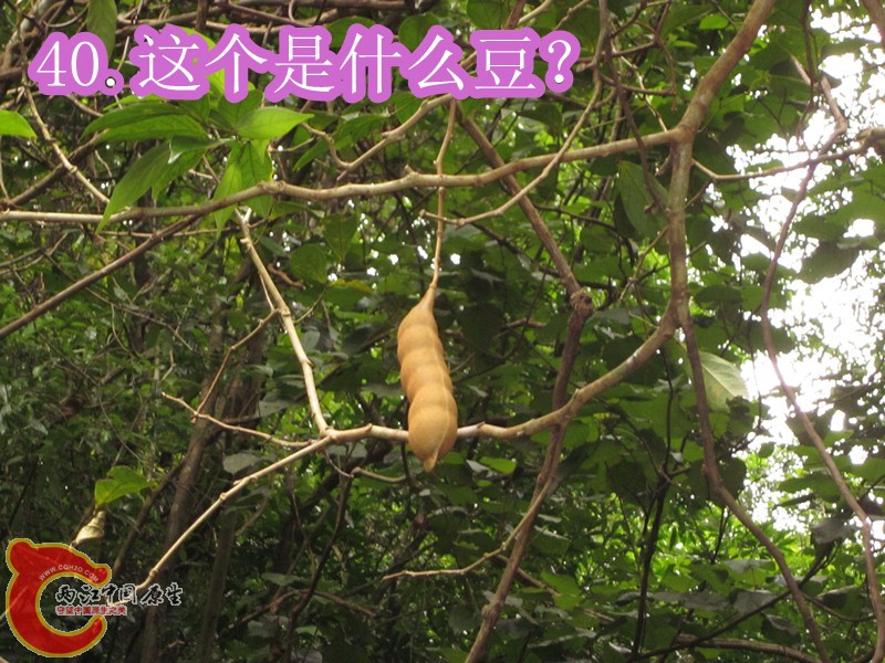 IMG_2957_副本.jpg