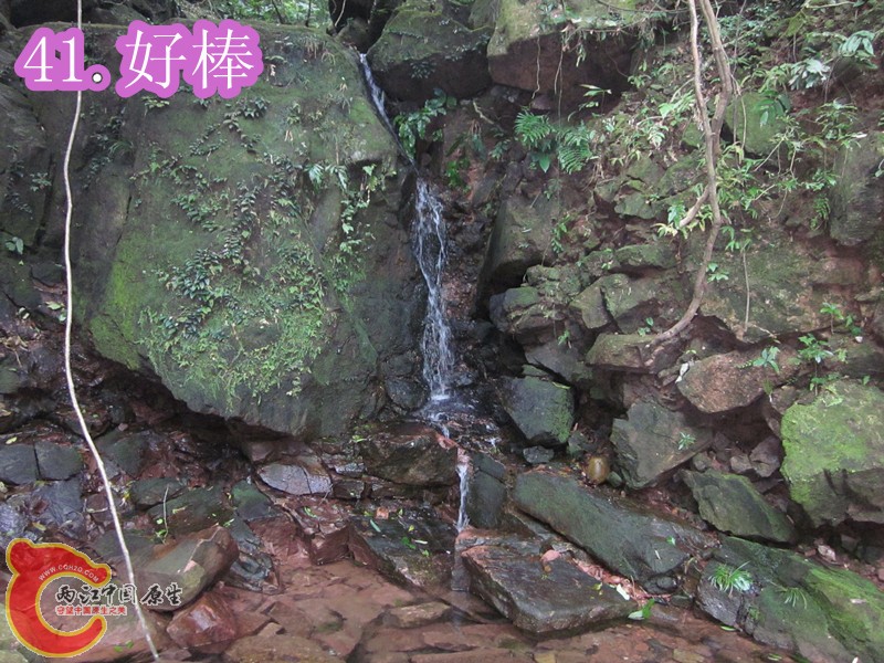 IMG_2962_副本.jpg