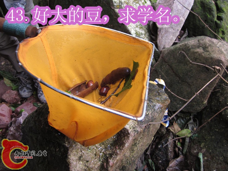 IMG_2963_副本.jpg