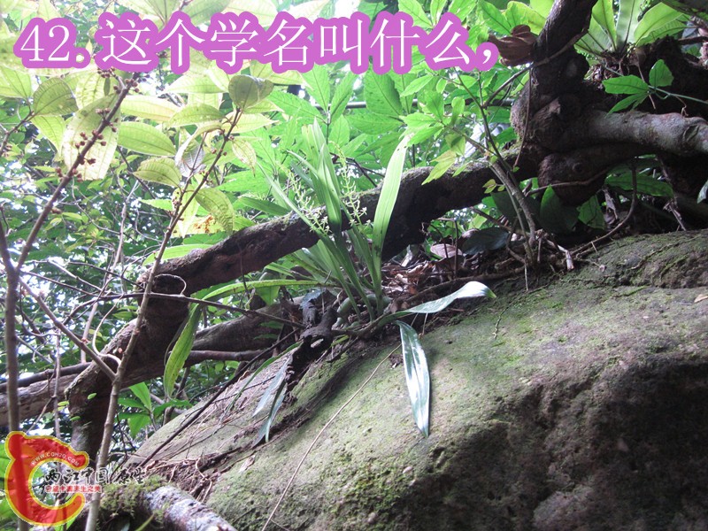 IMG_2971_副本.jpg