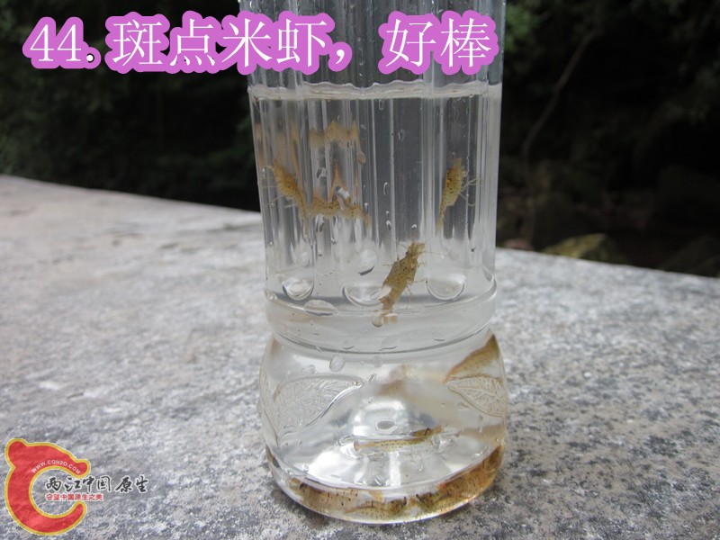IMG_2987_副本.jpg