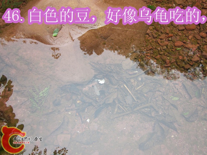 IMG_3000_副本.jpg