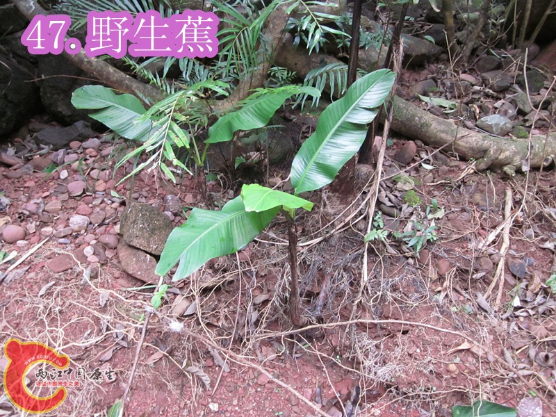 IMG_3002_副本.jpg