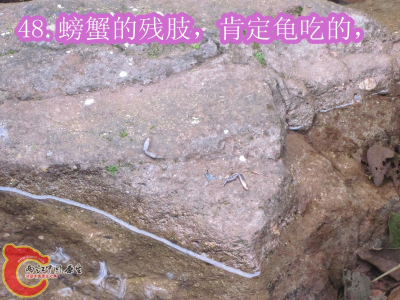 IMG_3010_副本.jpg