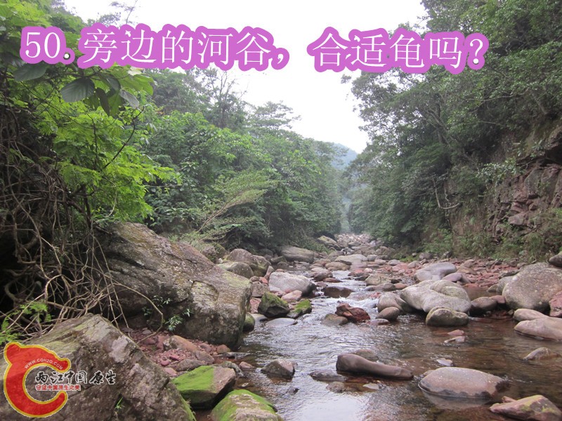 IMG_3011_副本.jpg