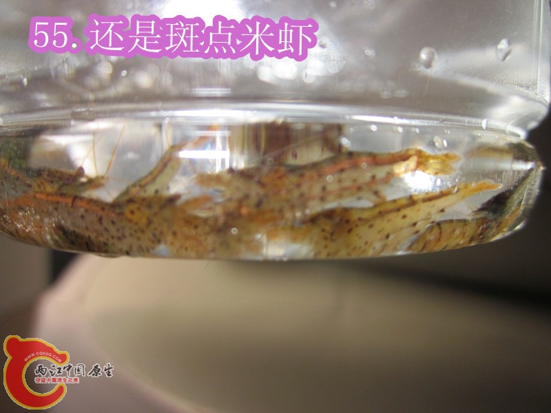 IMG_3065_副本.jpg