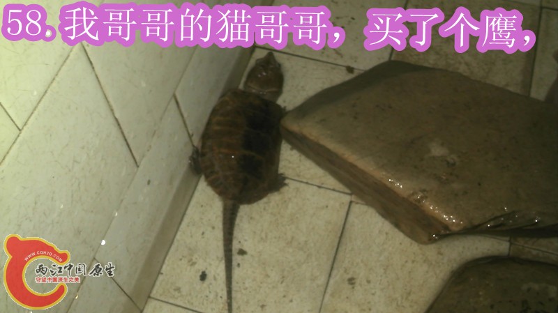 IMG_20121208_140129_副本.jpg