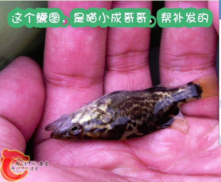 未命名01_副本.jpg