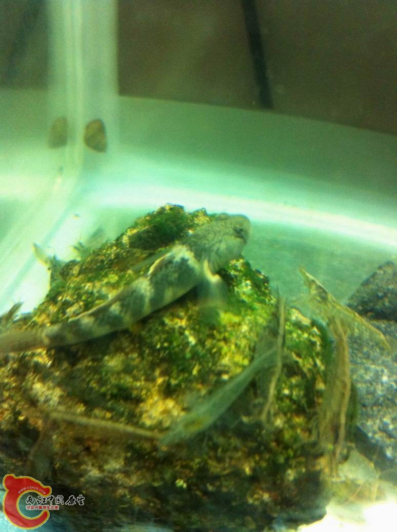 调整大小 调整大小 照片 001.jpg