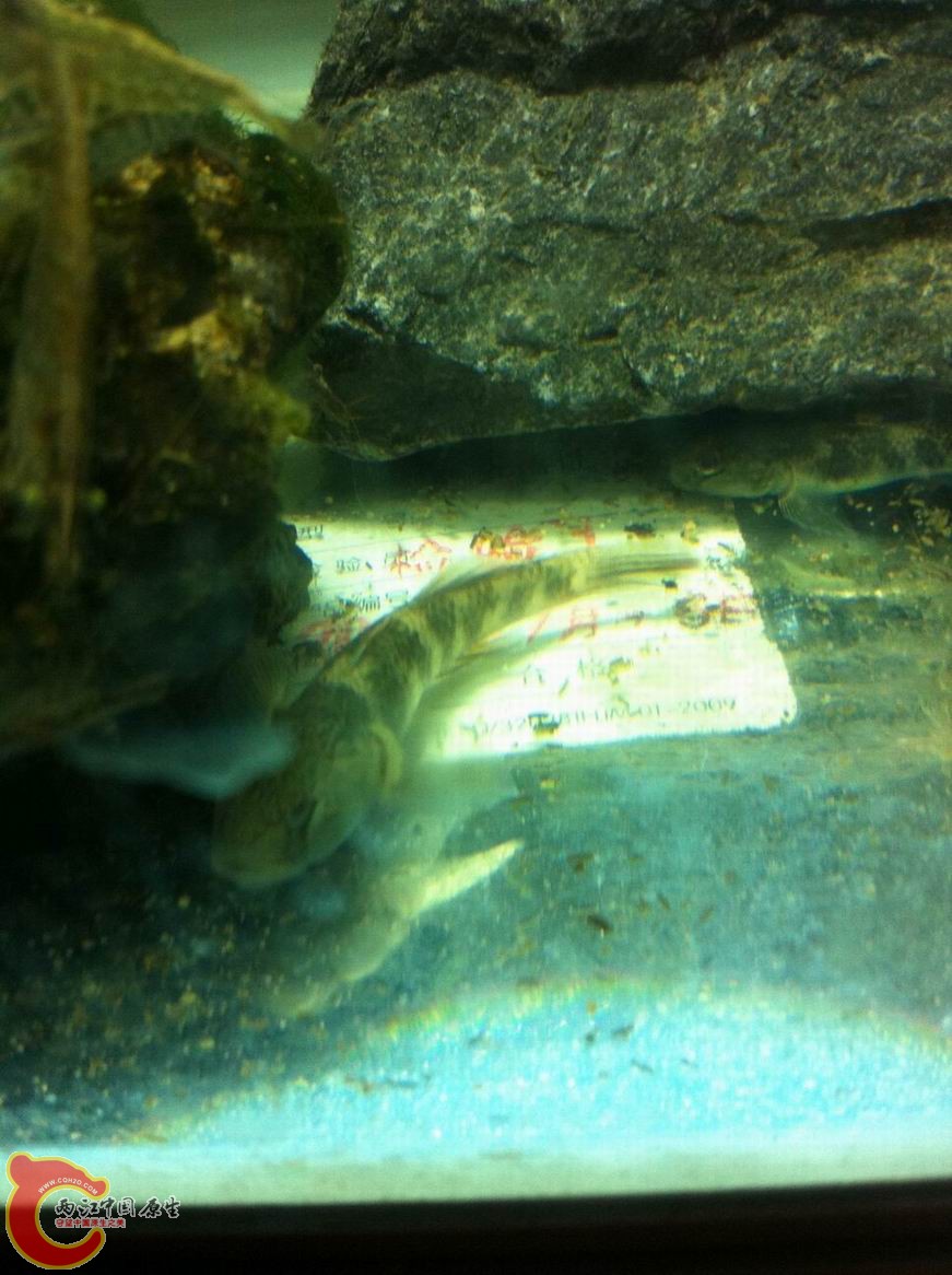 调整大小 调整大小 照片 002.jpg