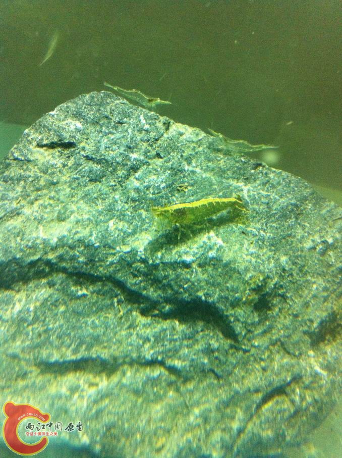 调整大小 照片 003.jpg