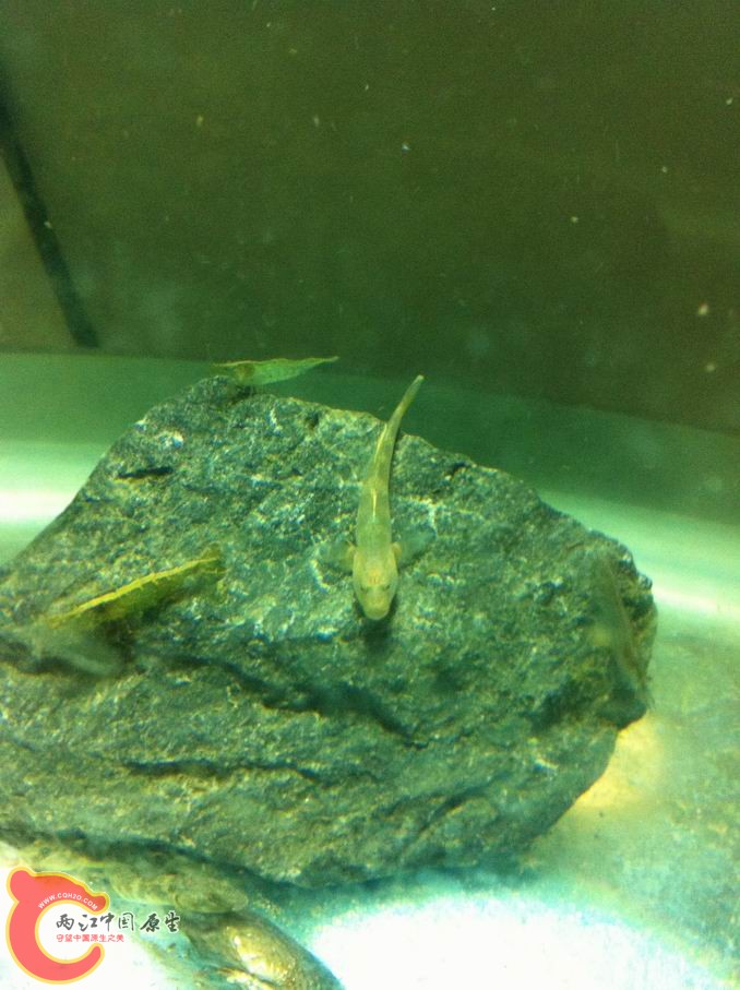 调整大小 照片 004.jpg