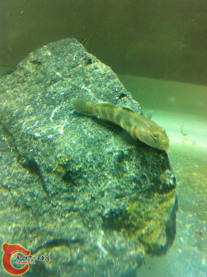 调整大小 照片 005.jpg