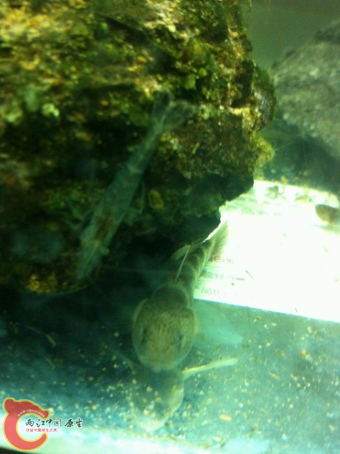 调整大小 照片 009.jpg