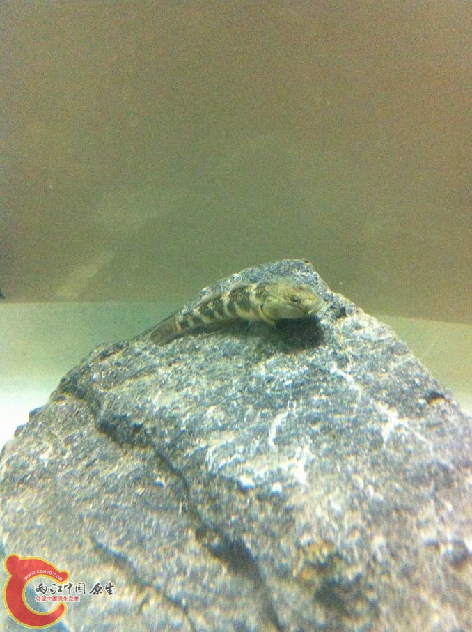 调整大小 照片 010.jpg